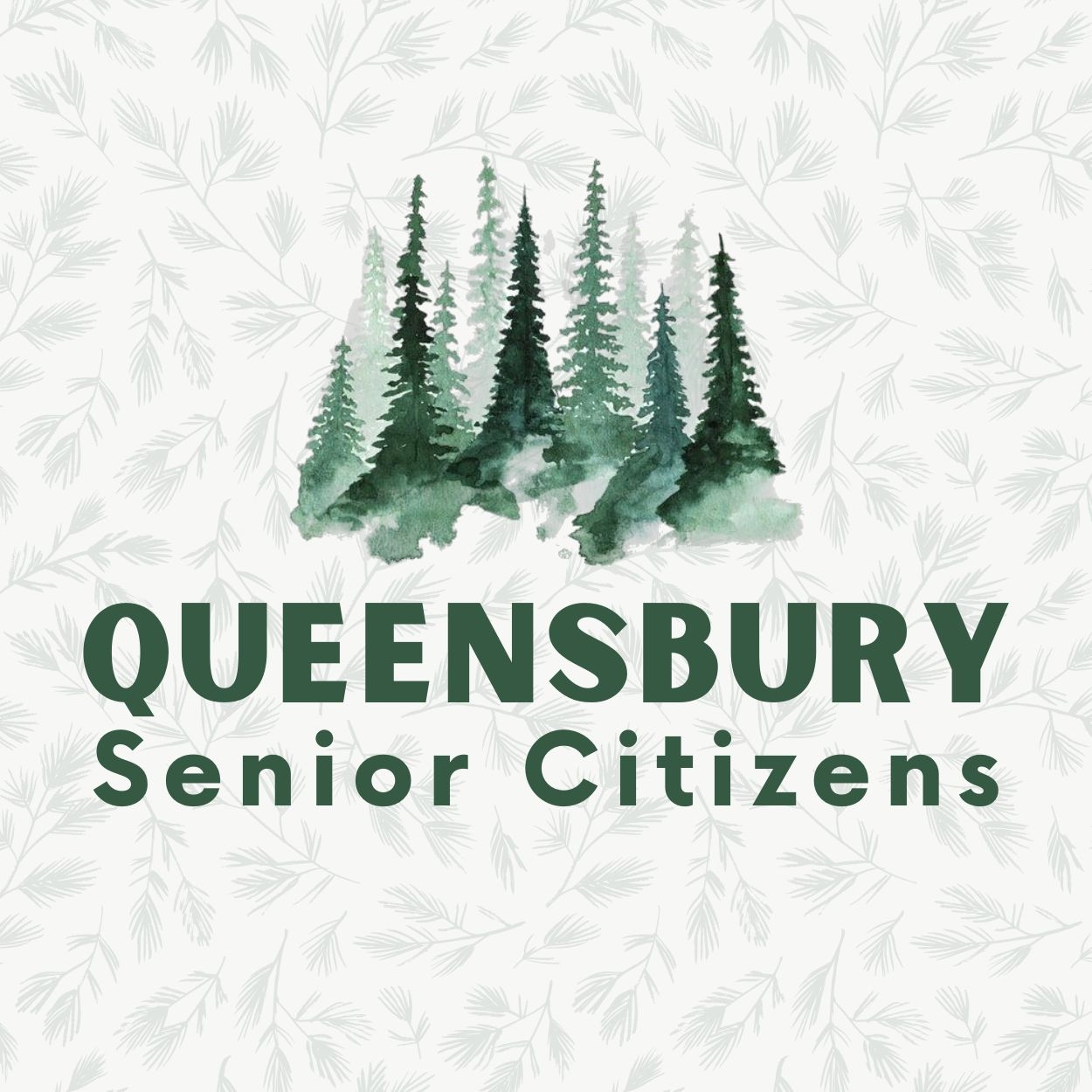 Queensbury senior citizens
